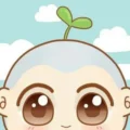 Foto del avatar